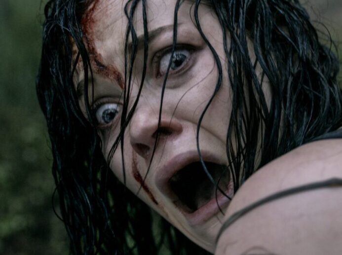 Evil Dead (2013)