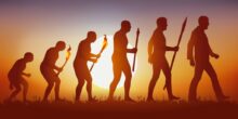 Concept of Darwins theory of evolution, illustrated with the transformation of the human silhouette from primitive man to modern man.