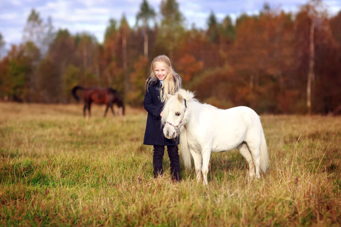 Dívka vedle malého plemene koně.