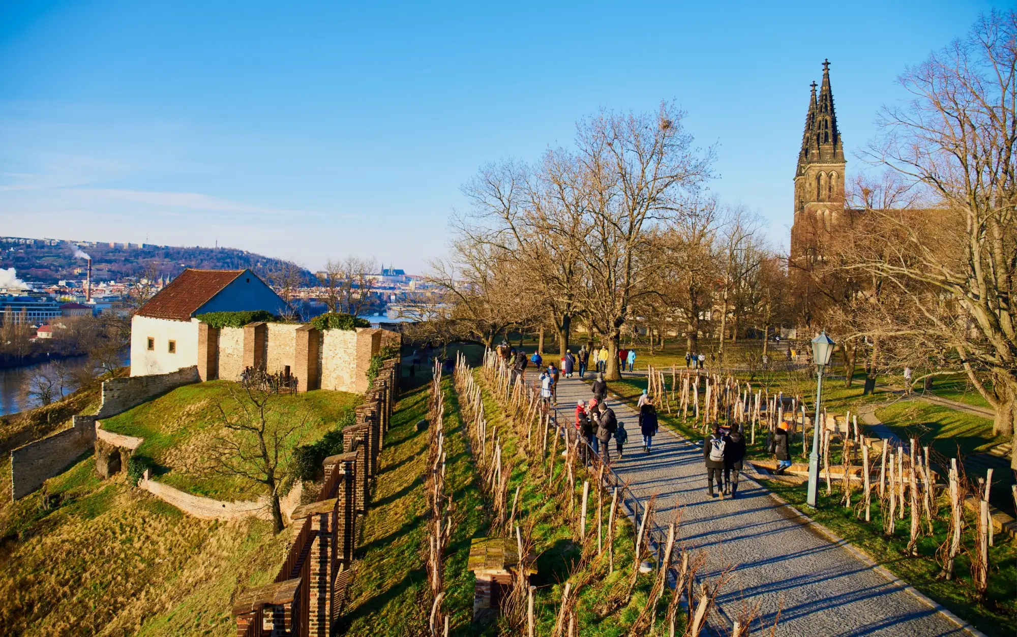 výhled na vyšehradské sady zobrazující malé vinice, stromořadí a baziliku v pozadí