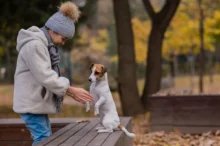 Holčička si hraje s Jack Russellem