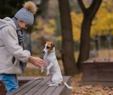 Holčička si hraje s Jack Russellem