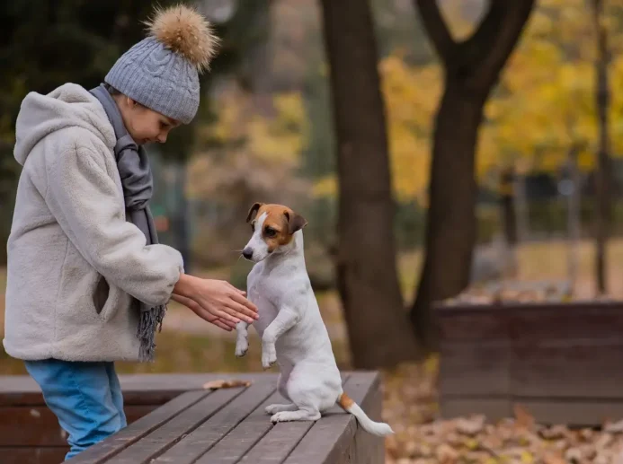 Holčička si hraje s Jack Russellem