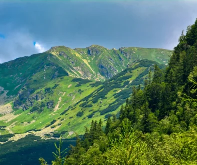 Liptovský Mikuláš panorama