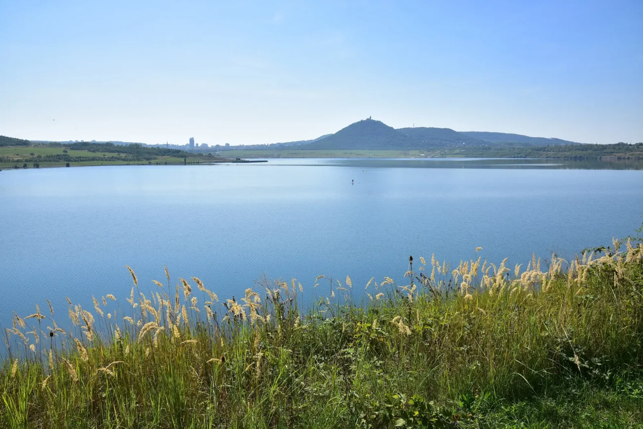 Pohled na jezero přes zeleň na břehu. 